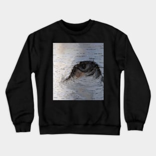 Birch Eye Crewneck Sweatshirt